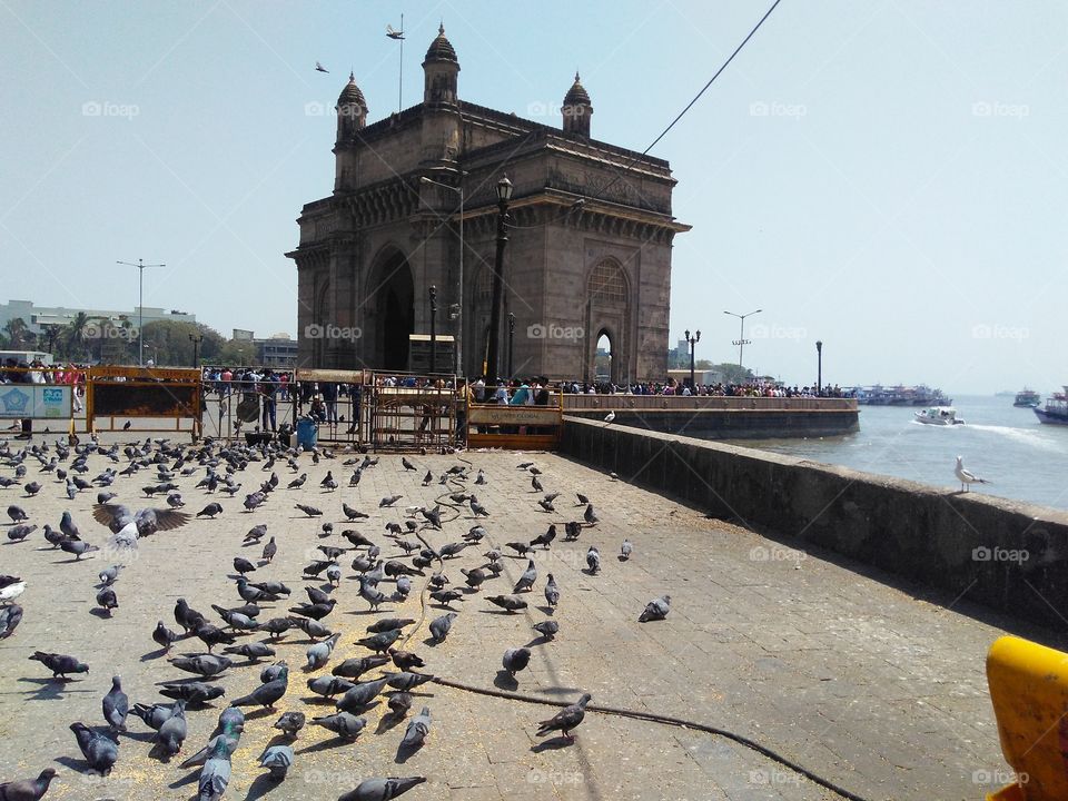 Mumbai beauties...