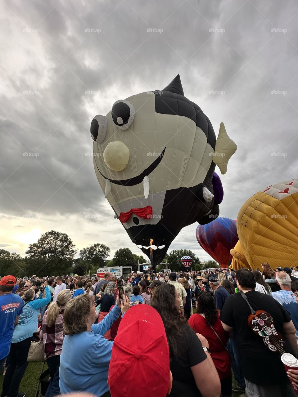 Hot Air Balloons