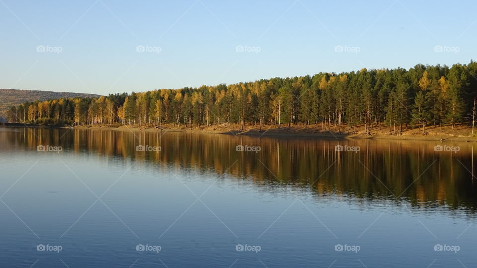golden autumn in the Urals in Russia
