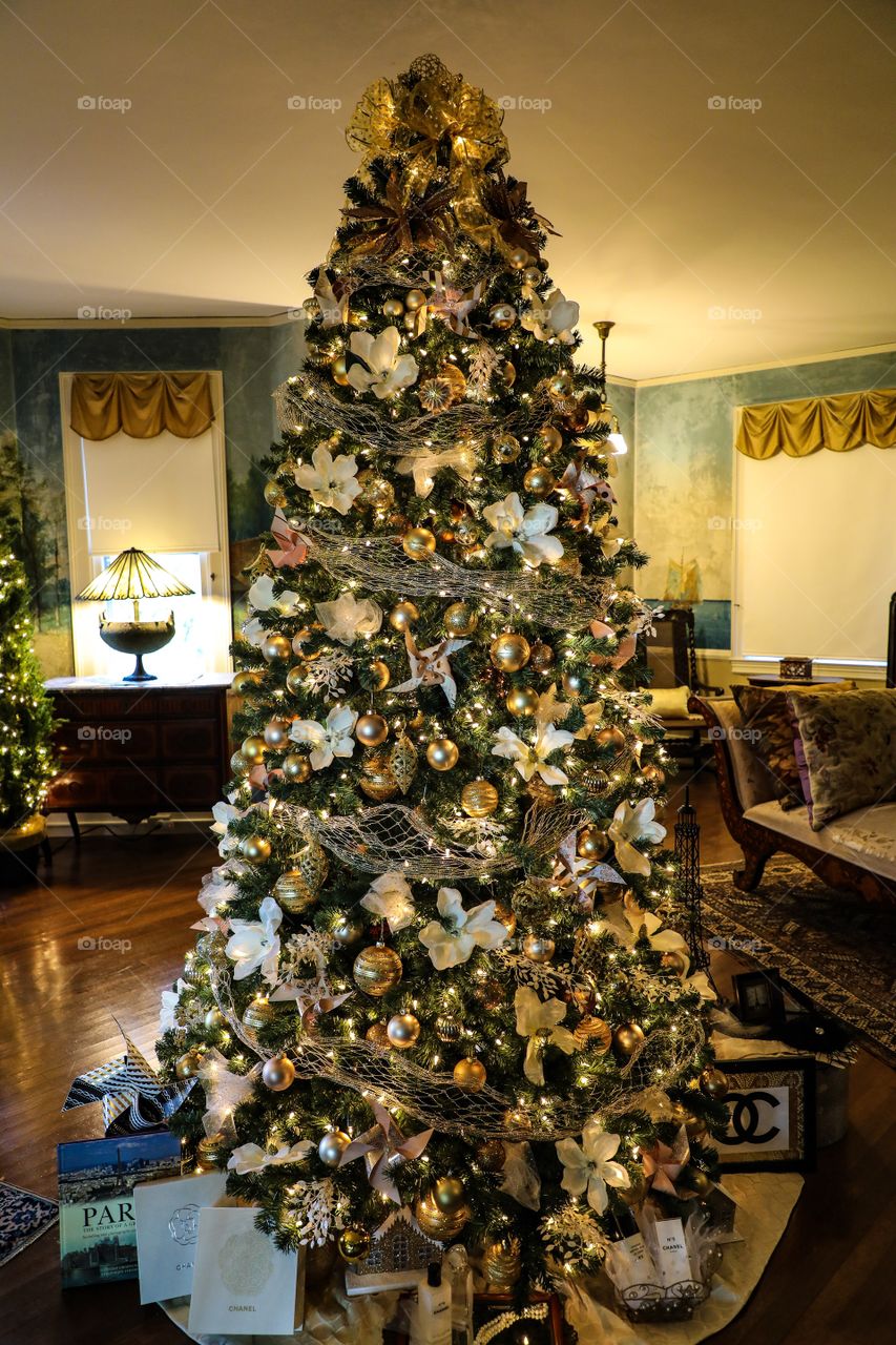 Christmas Tree in the Mansion 