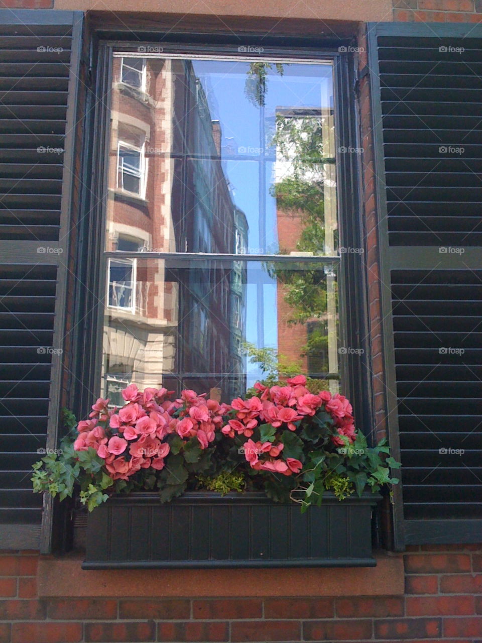 Back Bay Window