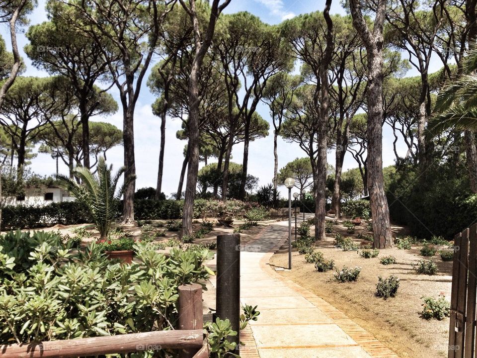 sky nature spiaggia punta ala spiaggia by alekime