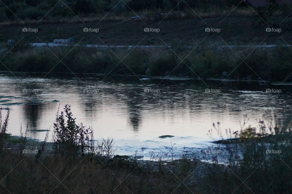 Spiegelung Abend am Fluss