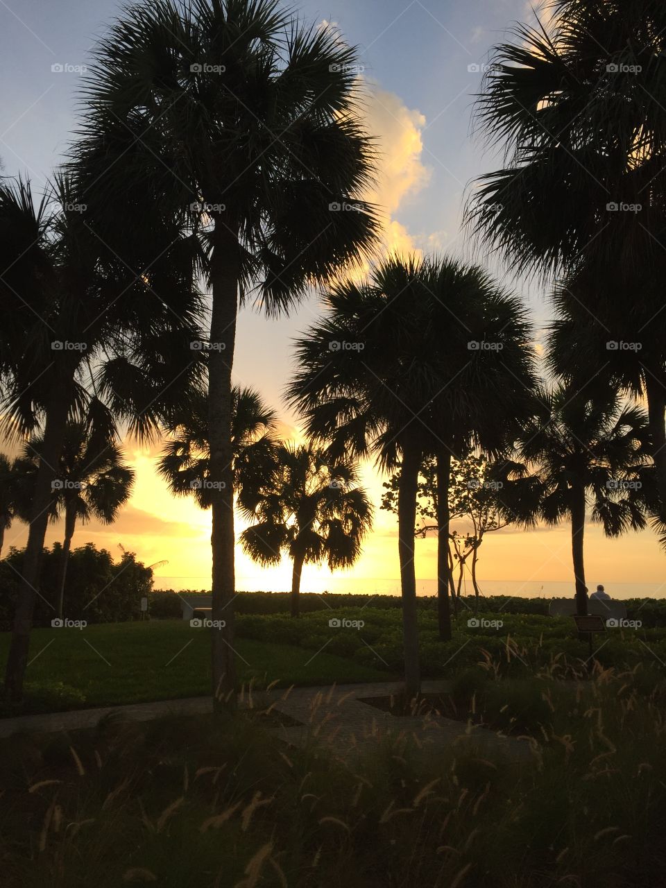 Florida Sunsets