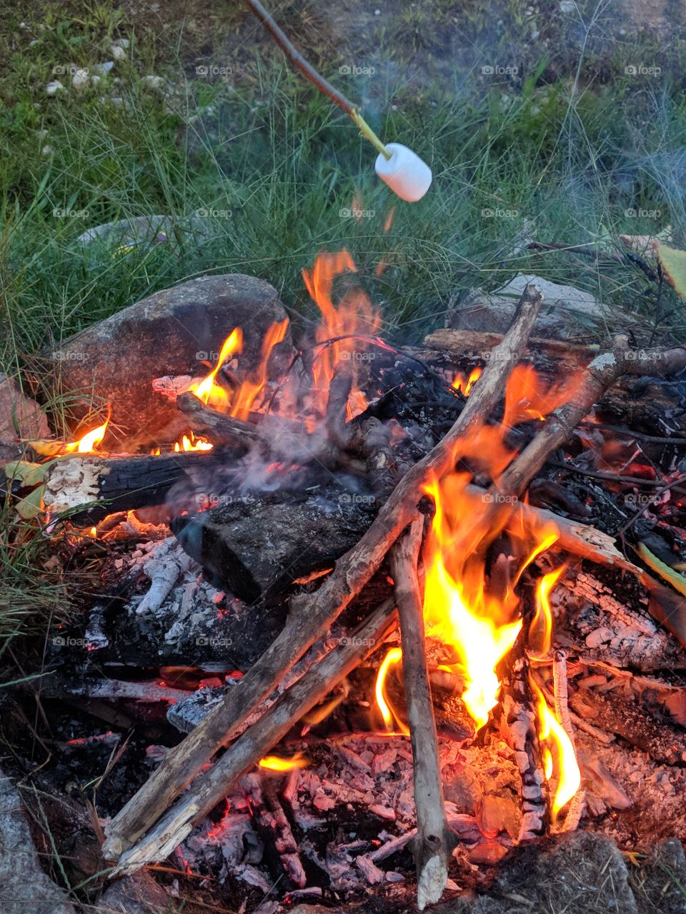marshmallows over the fire