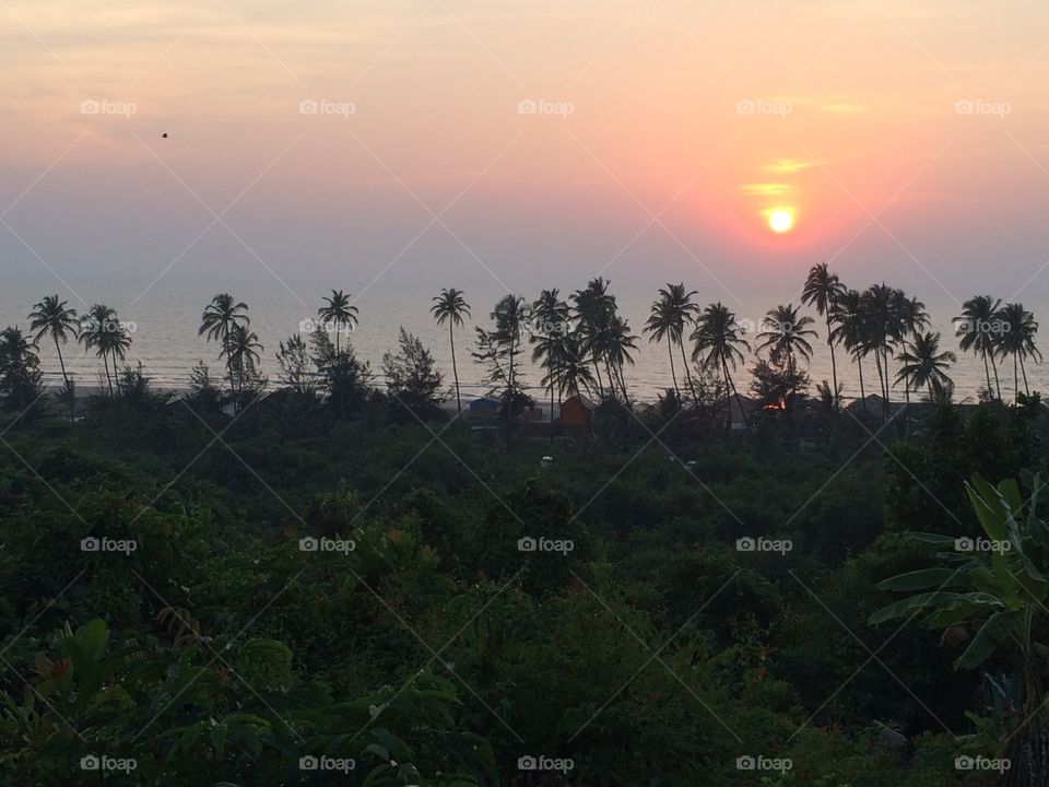 Goan sunset . Sunset in Goa, palms, sea, orange sun and colorful sky. Like it.