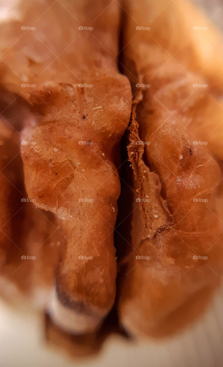 macrophoto of the walnut