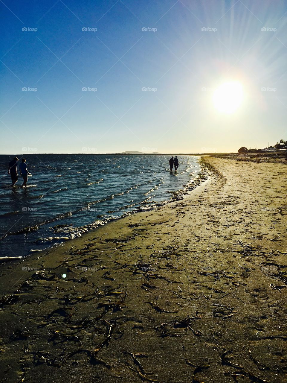 Two couples holding hands and walking in the ocean on the beach along the shoreline toward the sun at sunset golden hour in south Australia 