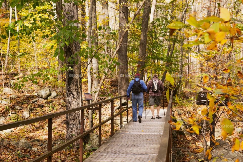 Active seniors hiking