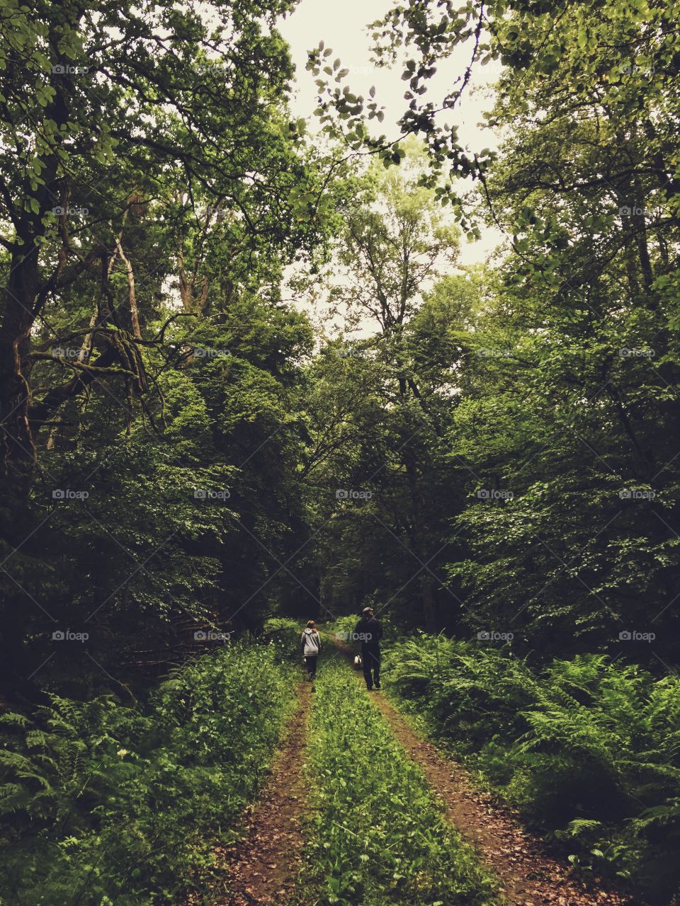 People walking in the wilderness