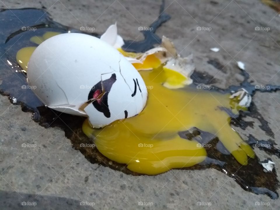 Rugged egg