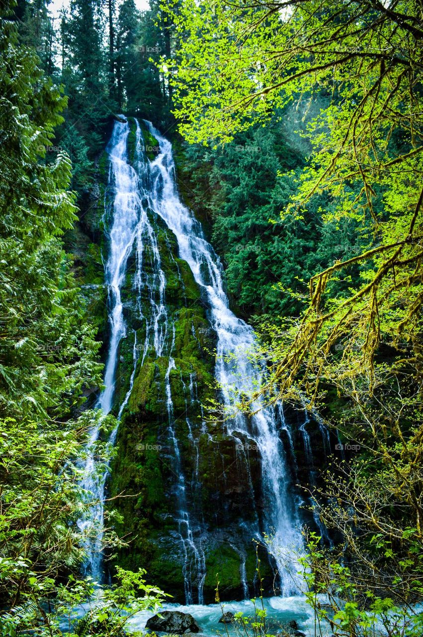 Boulder creek waterfall in the pnw