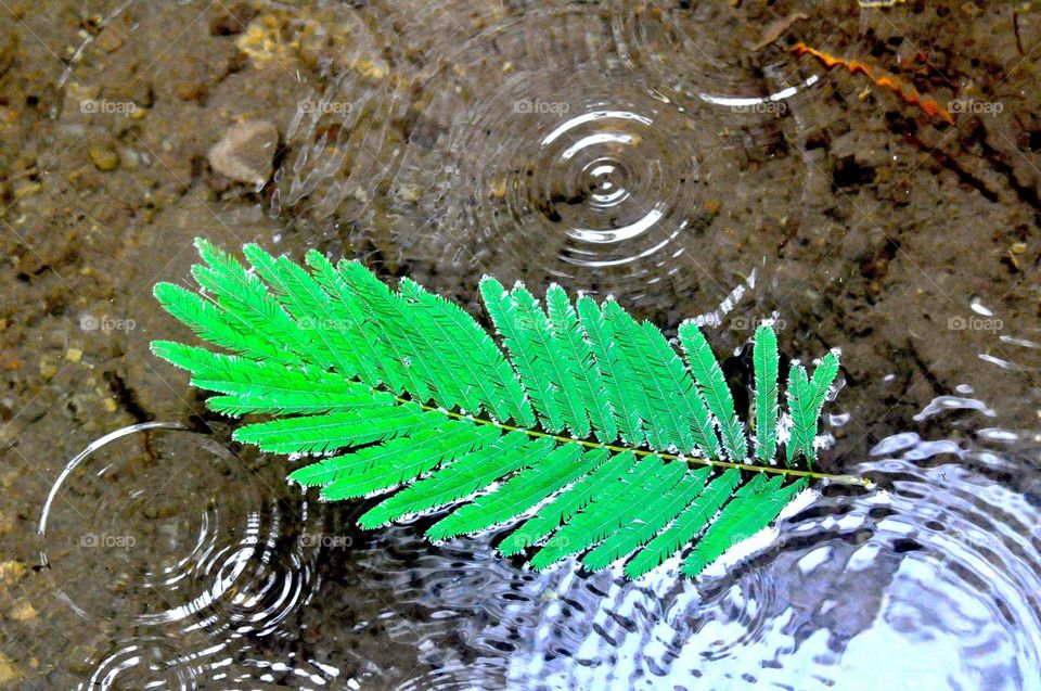 --Just on the water....