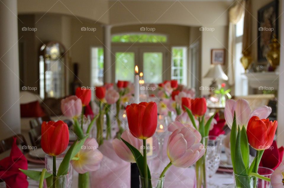 Table of Tulips