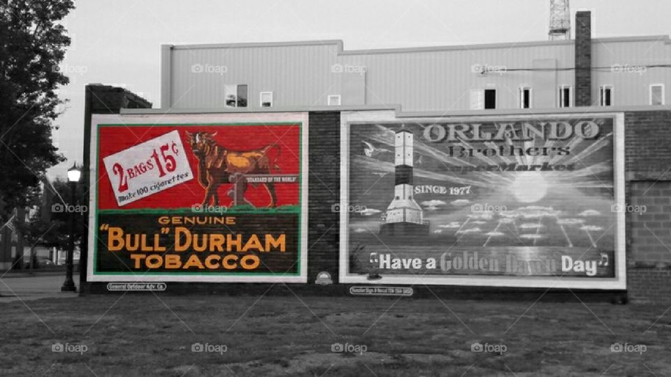 Bull Durham - Splash of Color