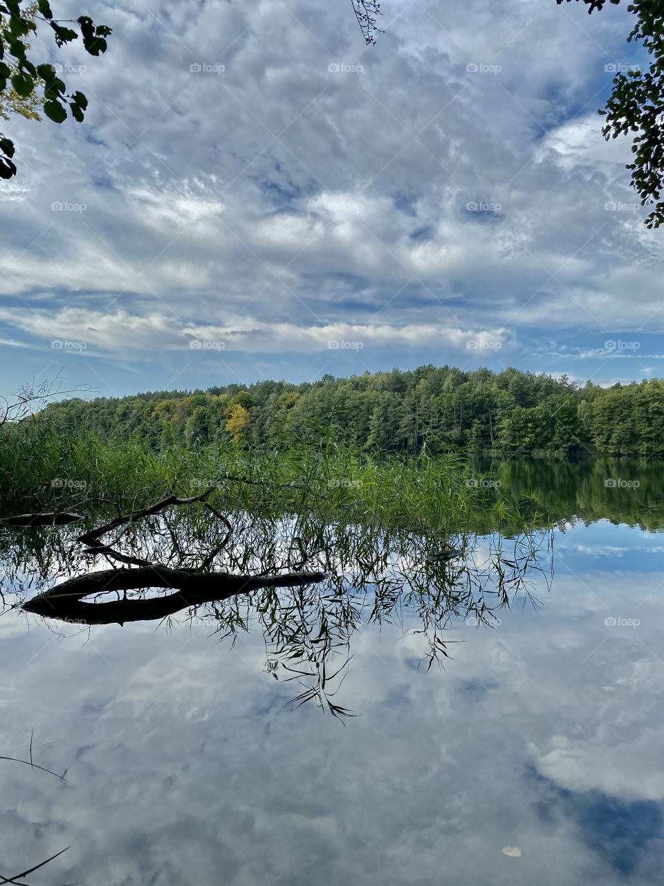 Reflection of clouds in the water.  