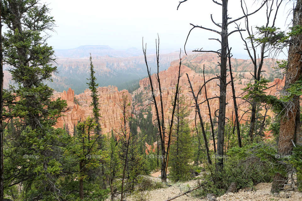 Bryce Canyon 