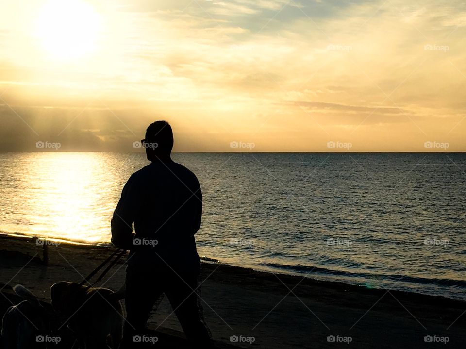 Walking the dogs at sunrise along the seashore 