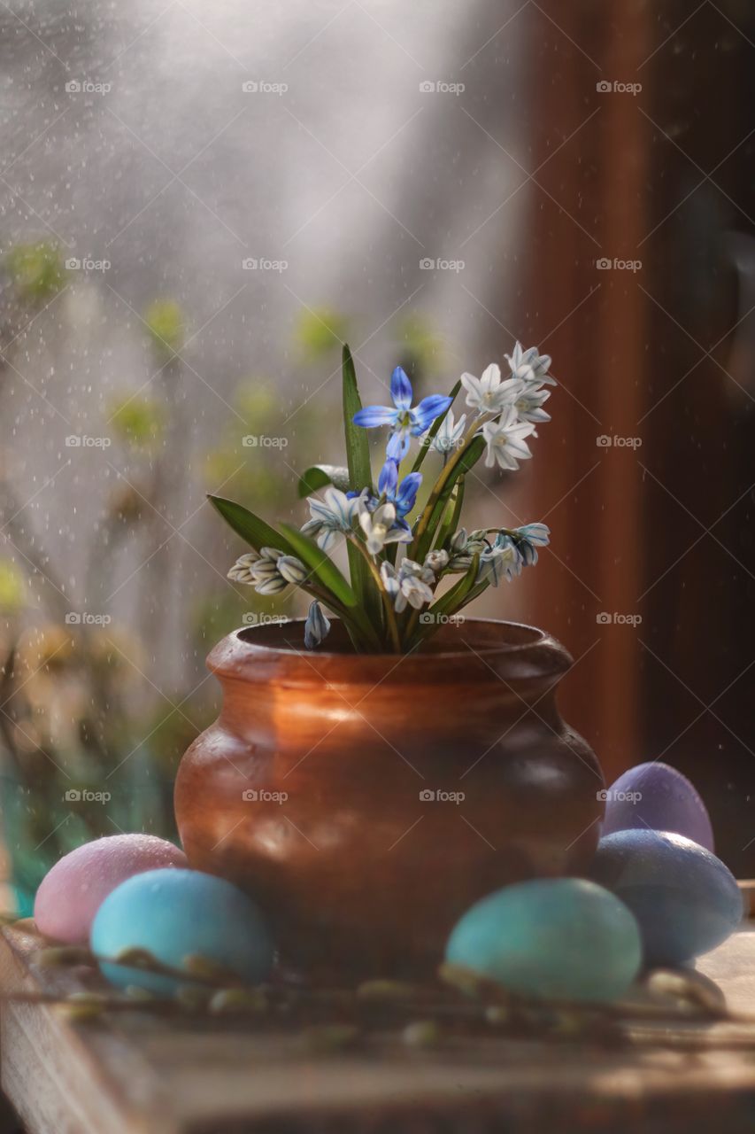 Easter still life flowers in a pot and colored eggs