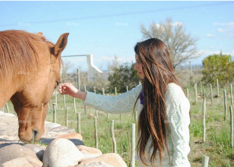 muchacha acaricia al caballo en el campo