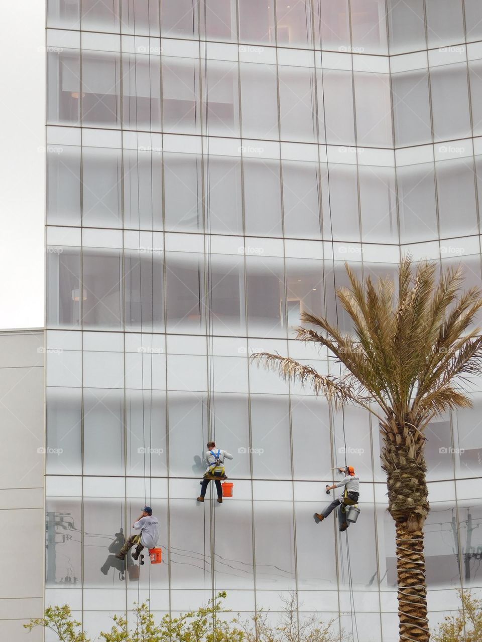 Window Washers cleaning windows - Fear is the word we use to describe our emotional reaction to something that seems dangerous. But the word "fear" is used in another way, too: to name something a person often feels afraid of