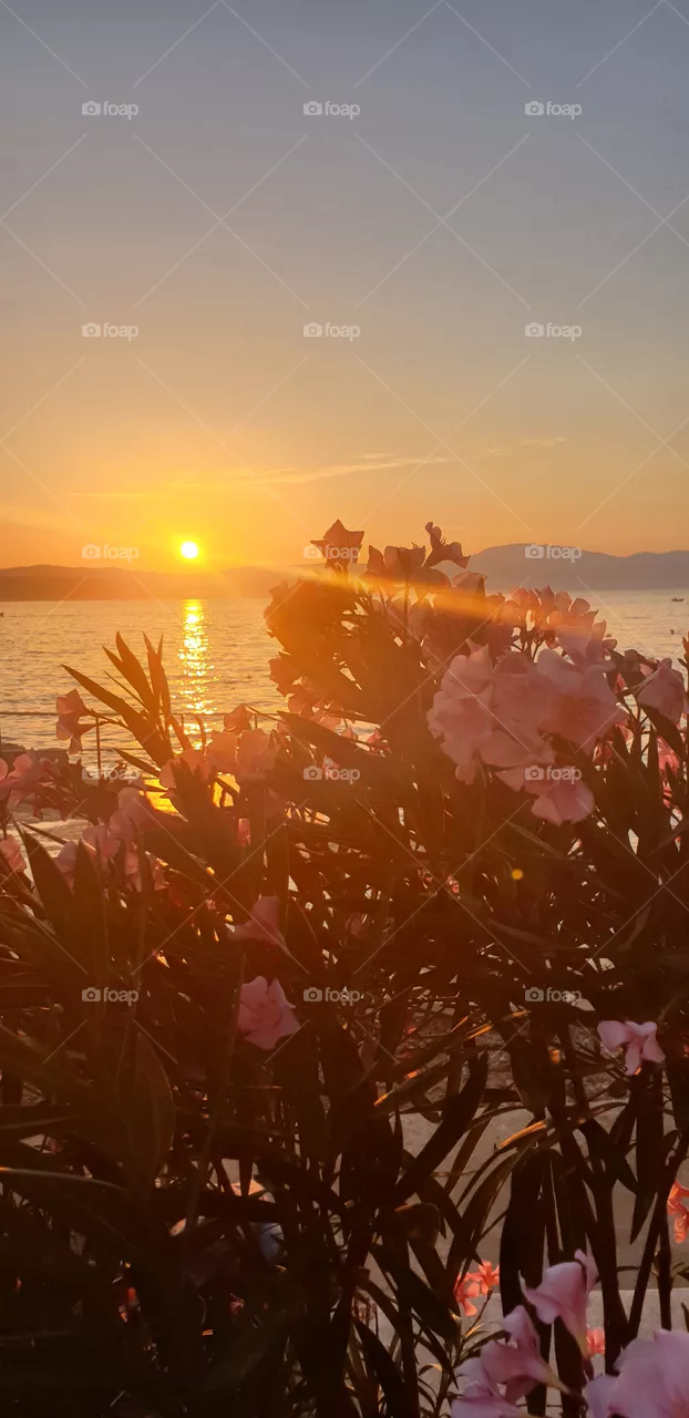 beautiful sunset
