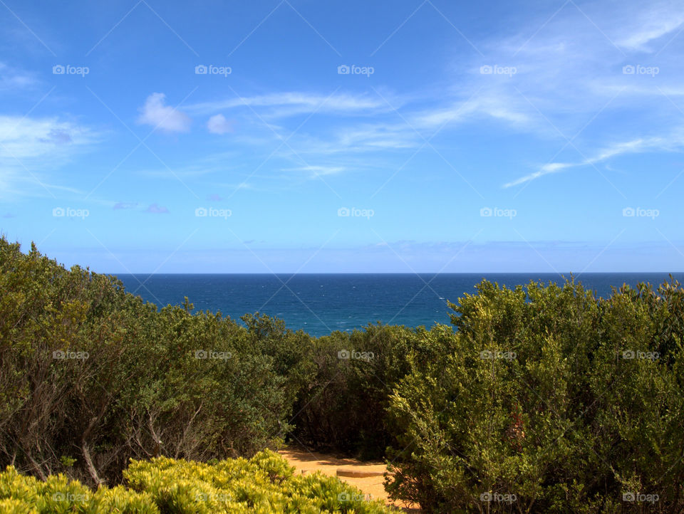 No Person, Landscape, Sky, Nature, Tree