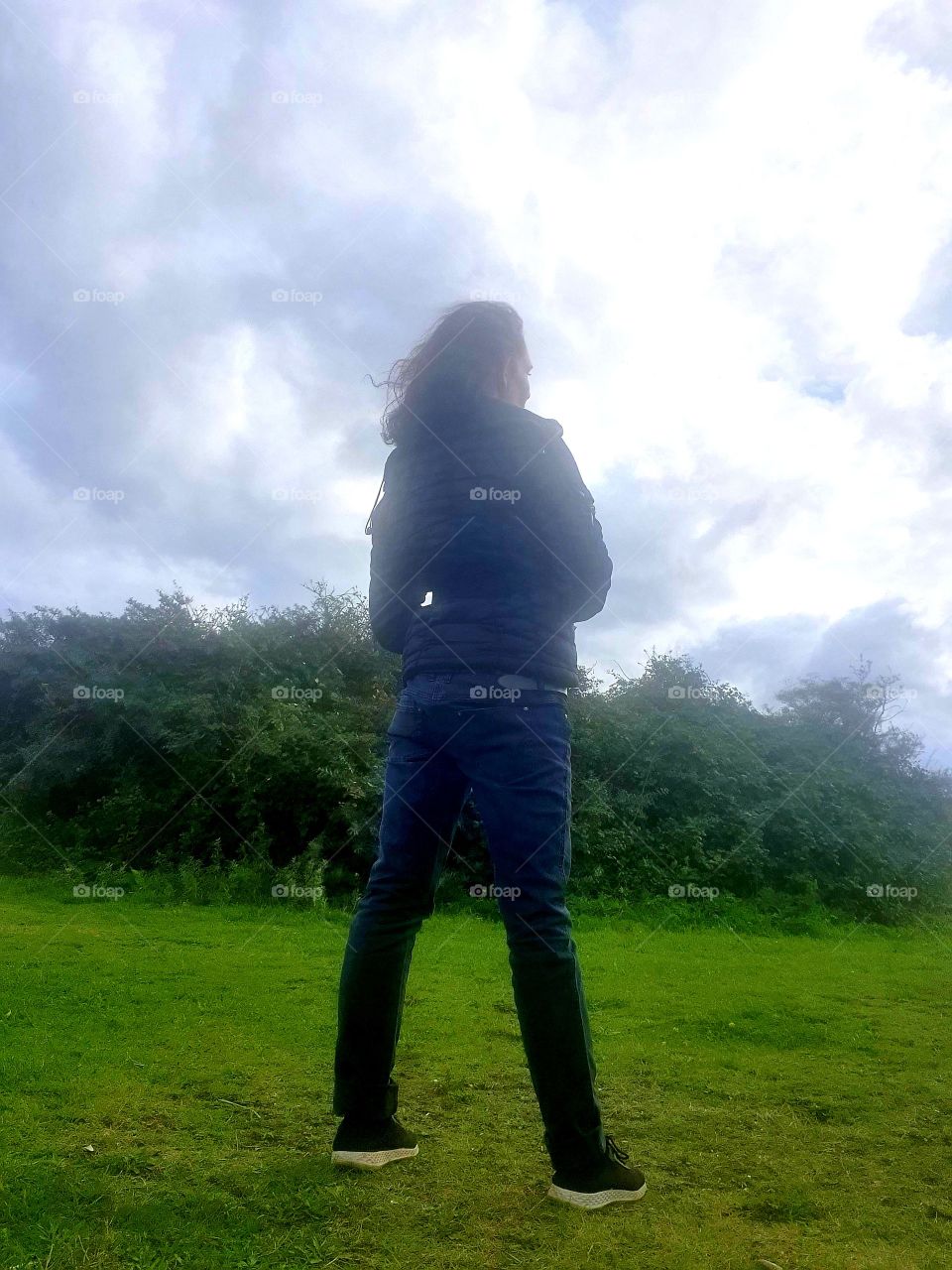 Stand in nature. the Netherlands