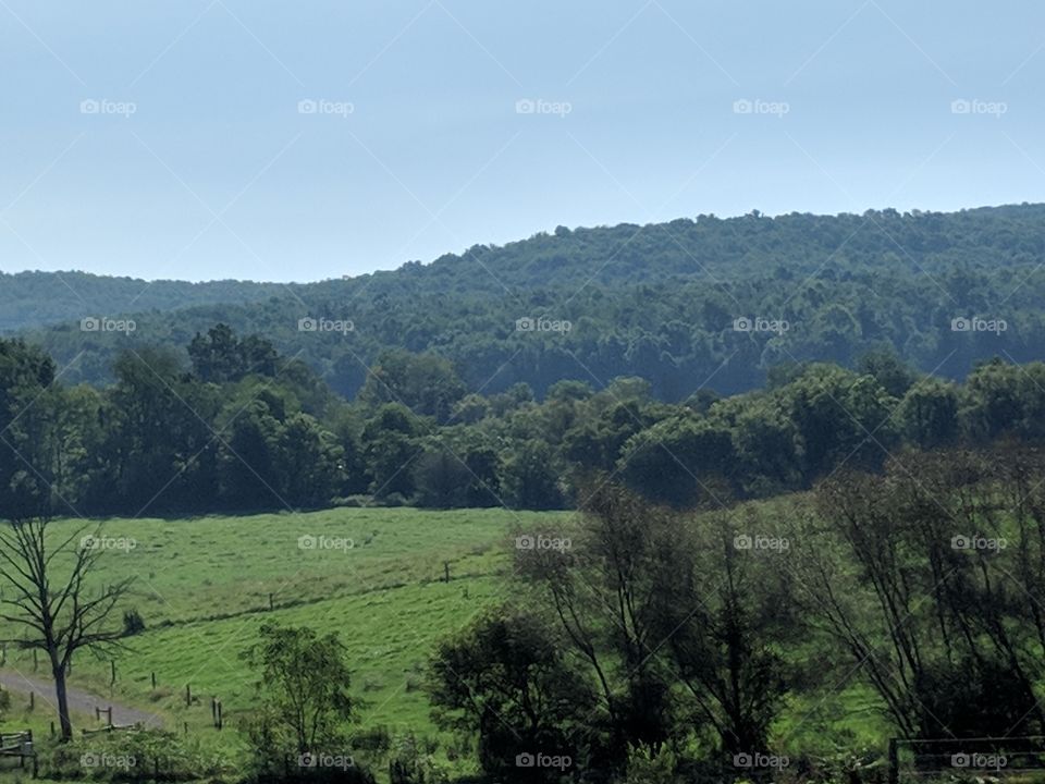 Pennsylvania Hills