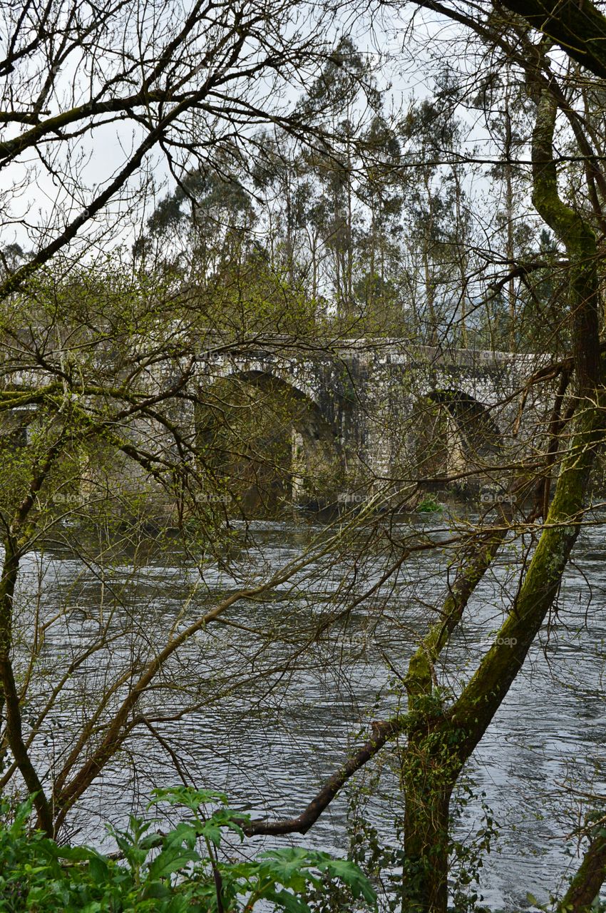 Medieval Bridge, View from the river bank. Medieval bridge in Pontevea, view from the river bank 