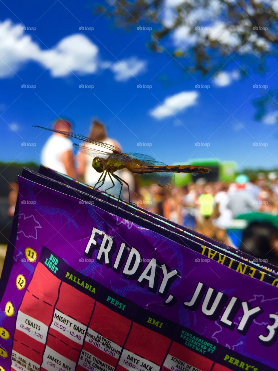 Dragon Fly in Lollapalooza . A dragon fly landed in our guide paper while looking to see when is Paul McCartney playing . 
