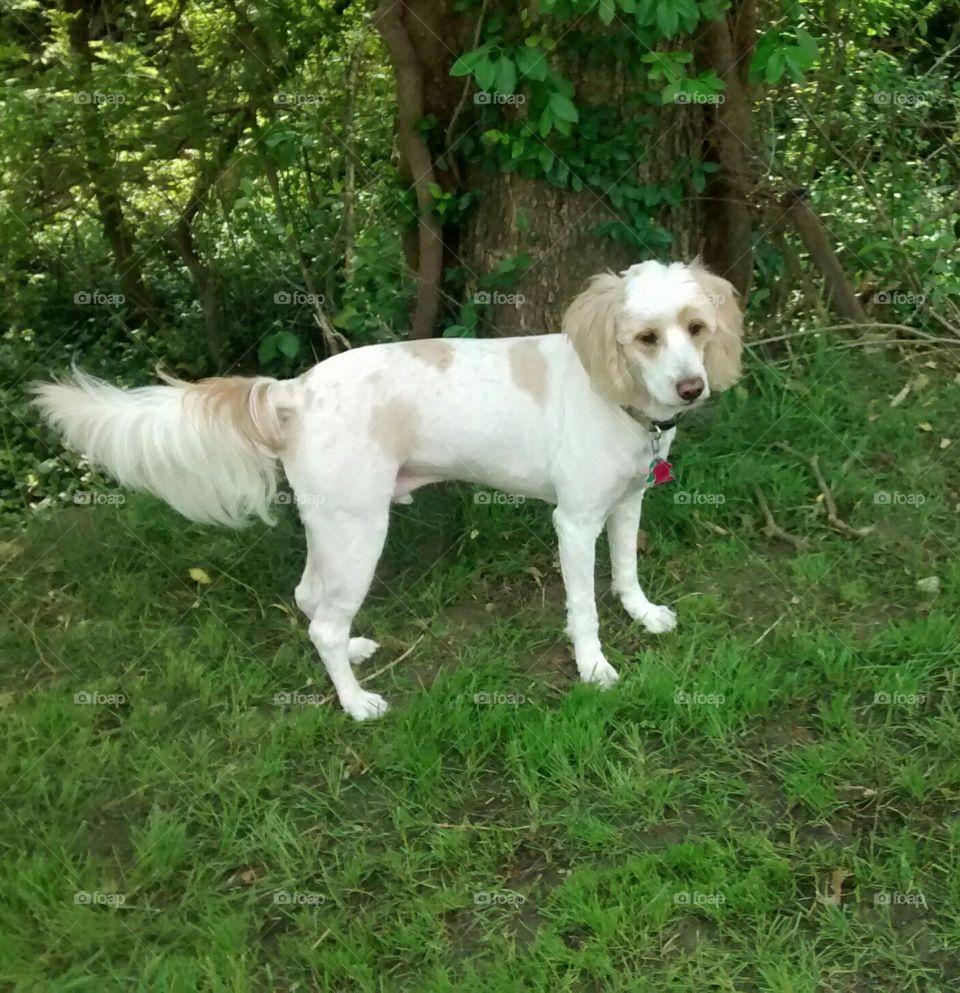 marshmallows new haircut