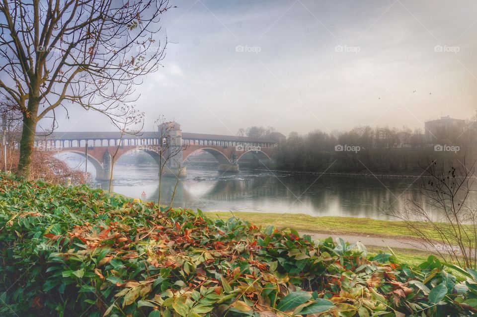 Pavia