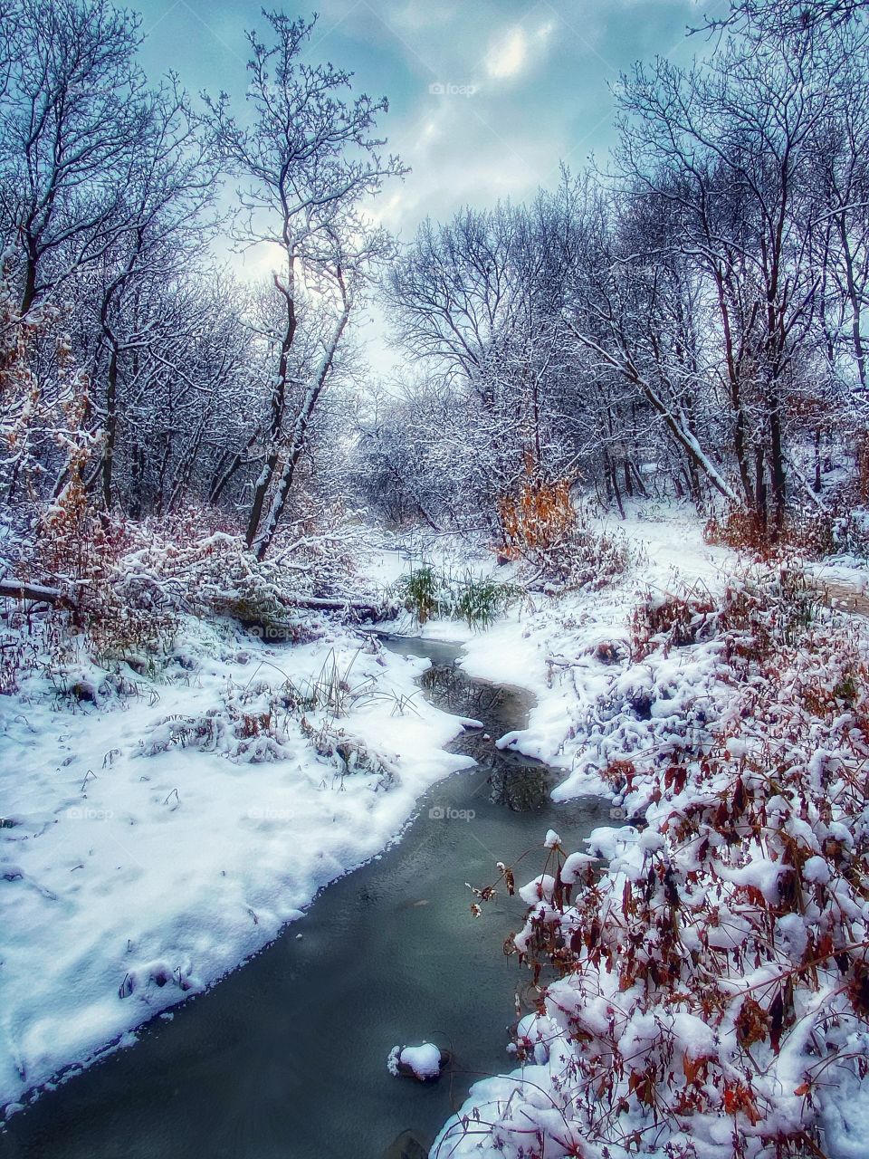 Peaceful creek