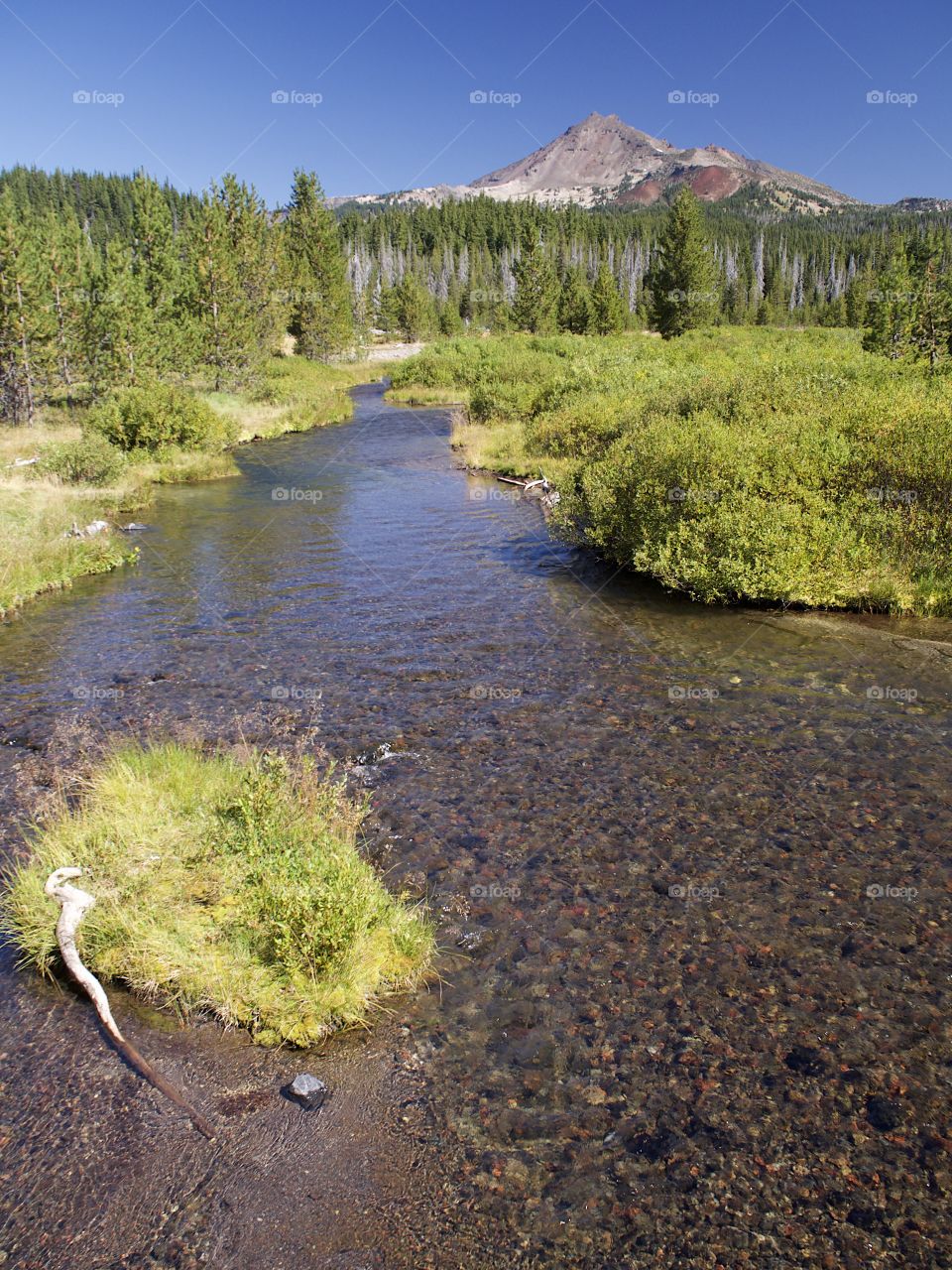 A beautiful fall landscape of Soda Creek and the South Sister in the Deschutes National Forest with towering trees and clear blue skies on a sunny autumn day.