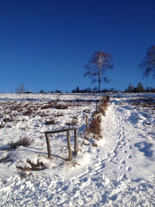 White Hill