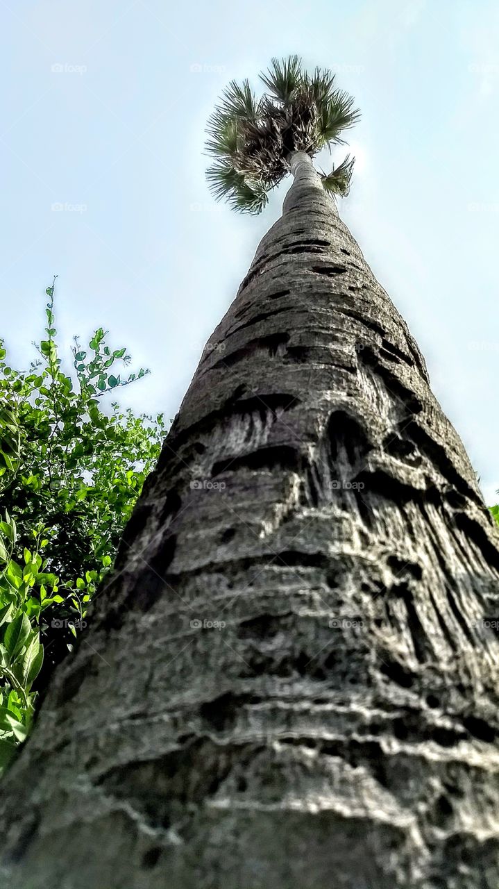 perfect imperfections