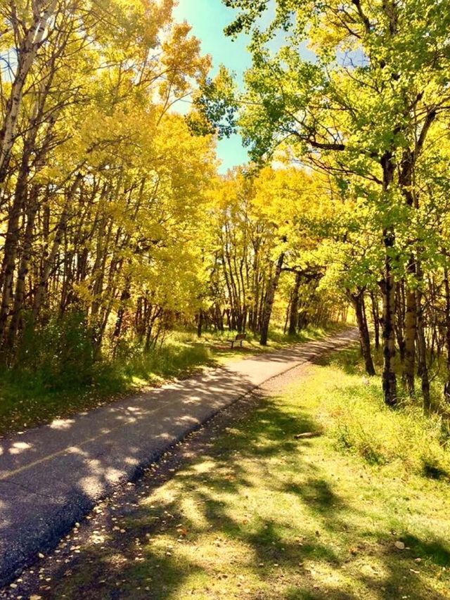 A Beautiful Fall Stroll