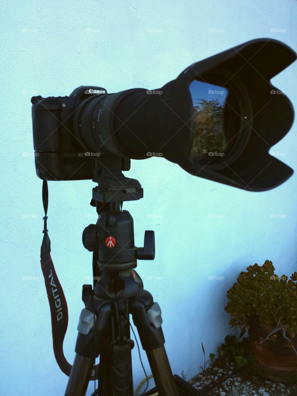 Canon with a telephoto lens on a Manfrotto tripod