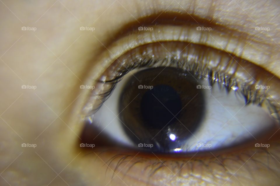 Macro of human eye. Taken with 10x macro
