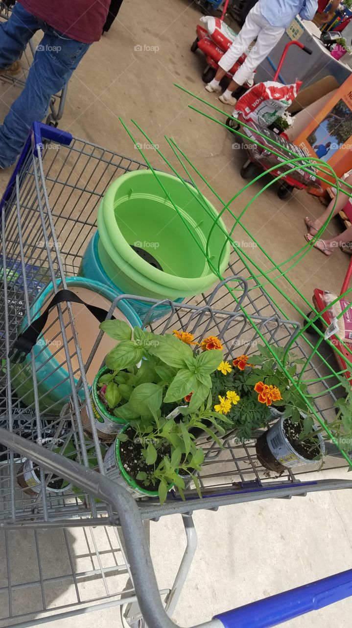 gardening supplies shopping