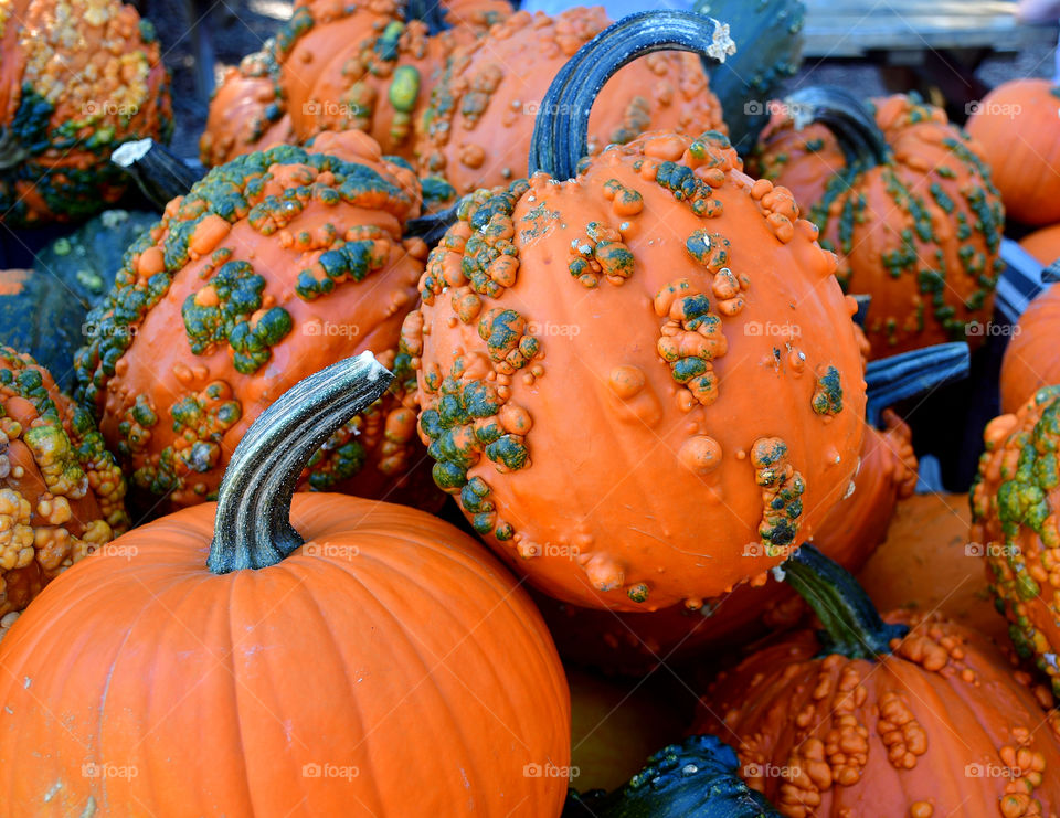 Pumpkins 