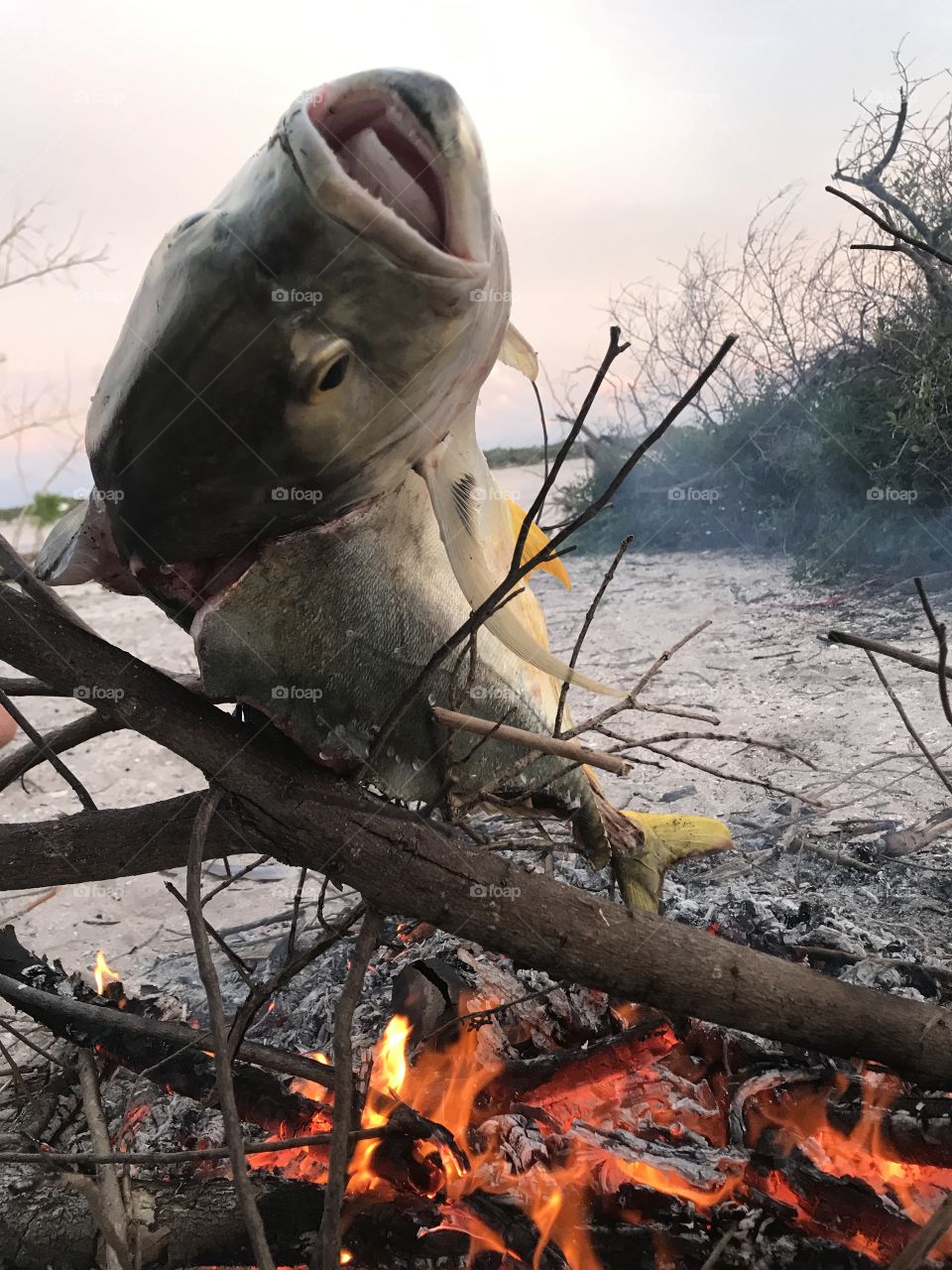 Fish cooking on open fire