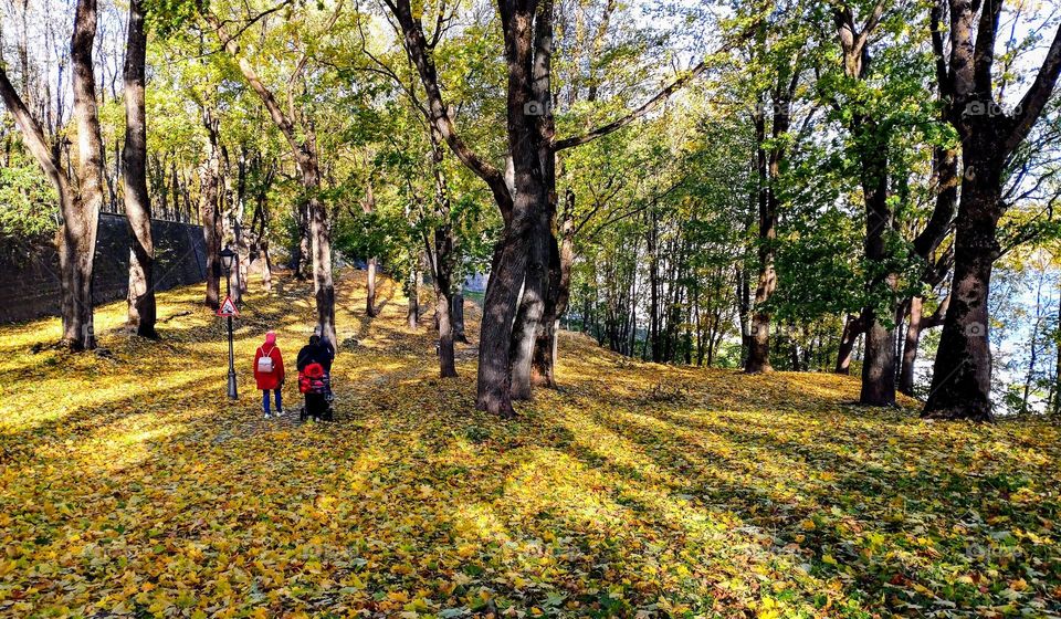 Autumn park 🍁🍂 Outdoor 🍁🍂 Trees and leaves 🍁🍂 Family walking 🍁🍂