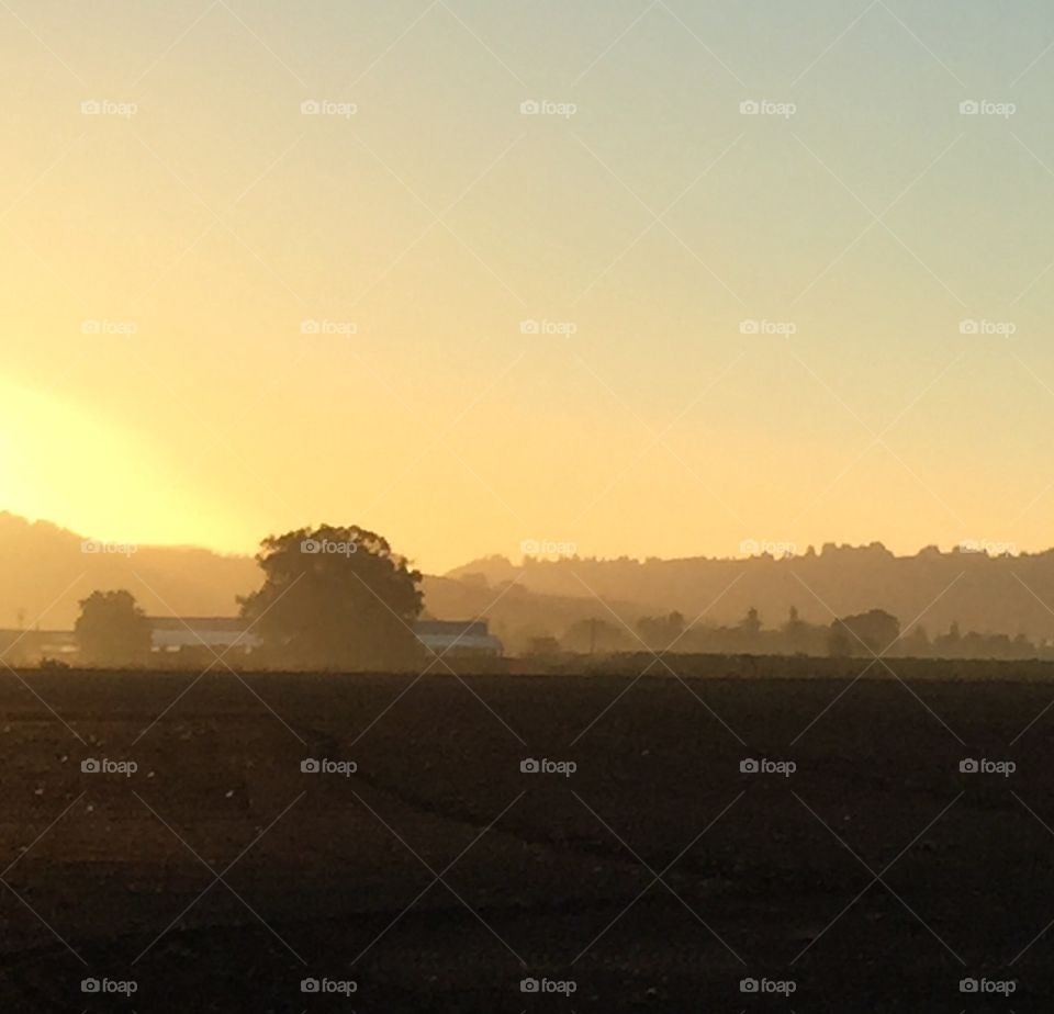 Farmland sunset