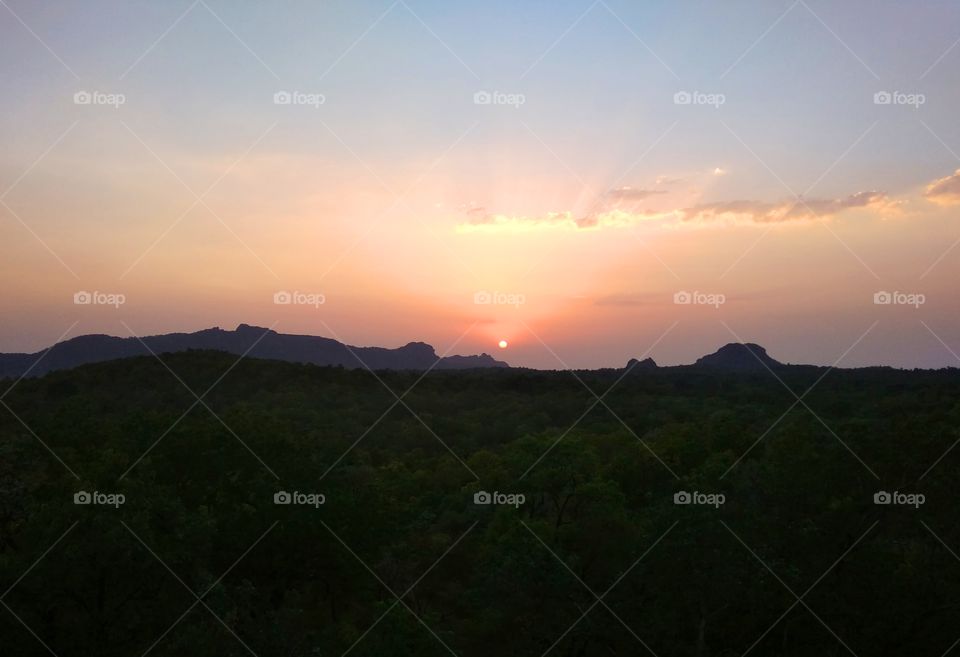 Sunset vs Sunrise.
Sunset view from forest