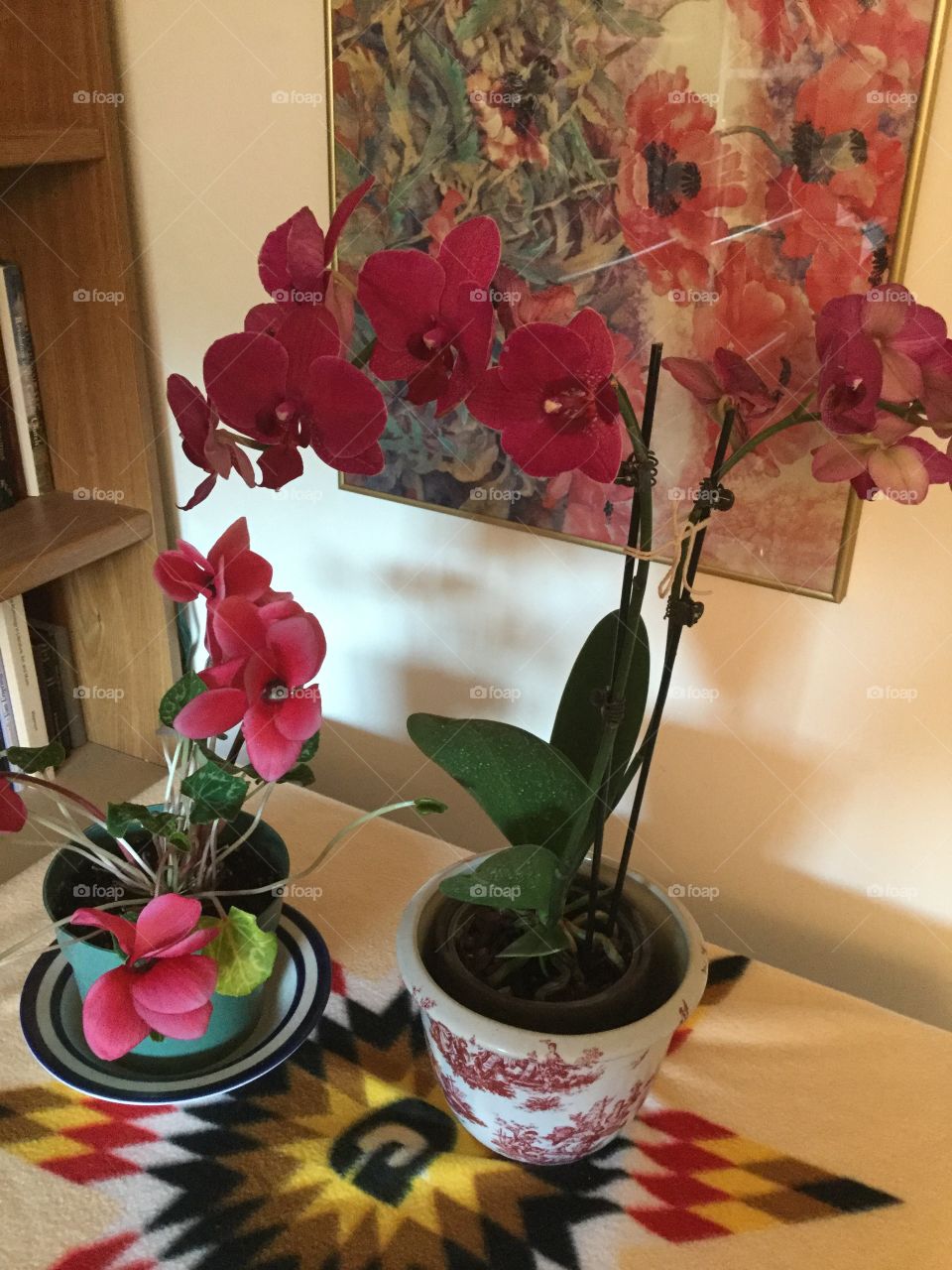 Flower, Decoration, Vase, Still Life, Color