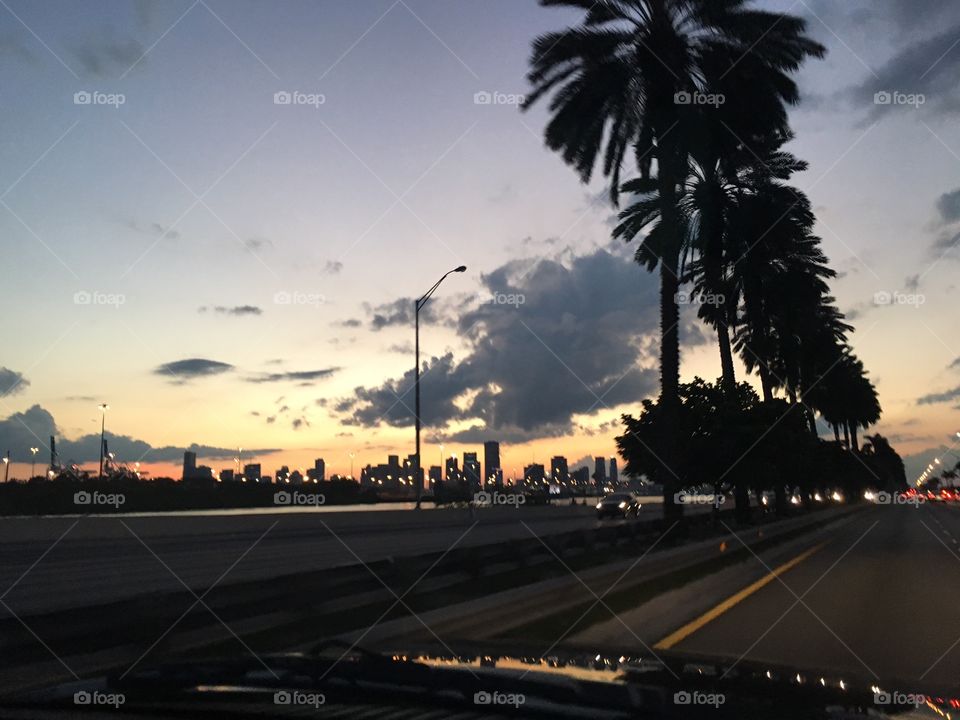 Driving Miami