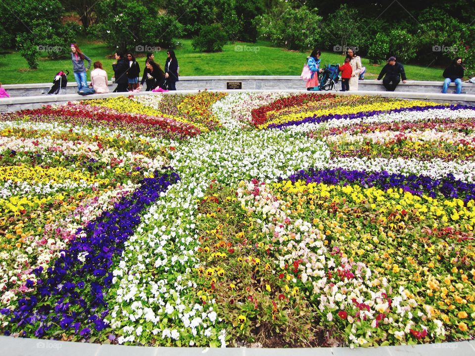 Flower bed