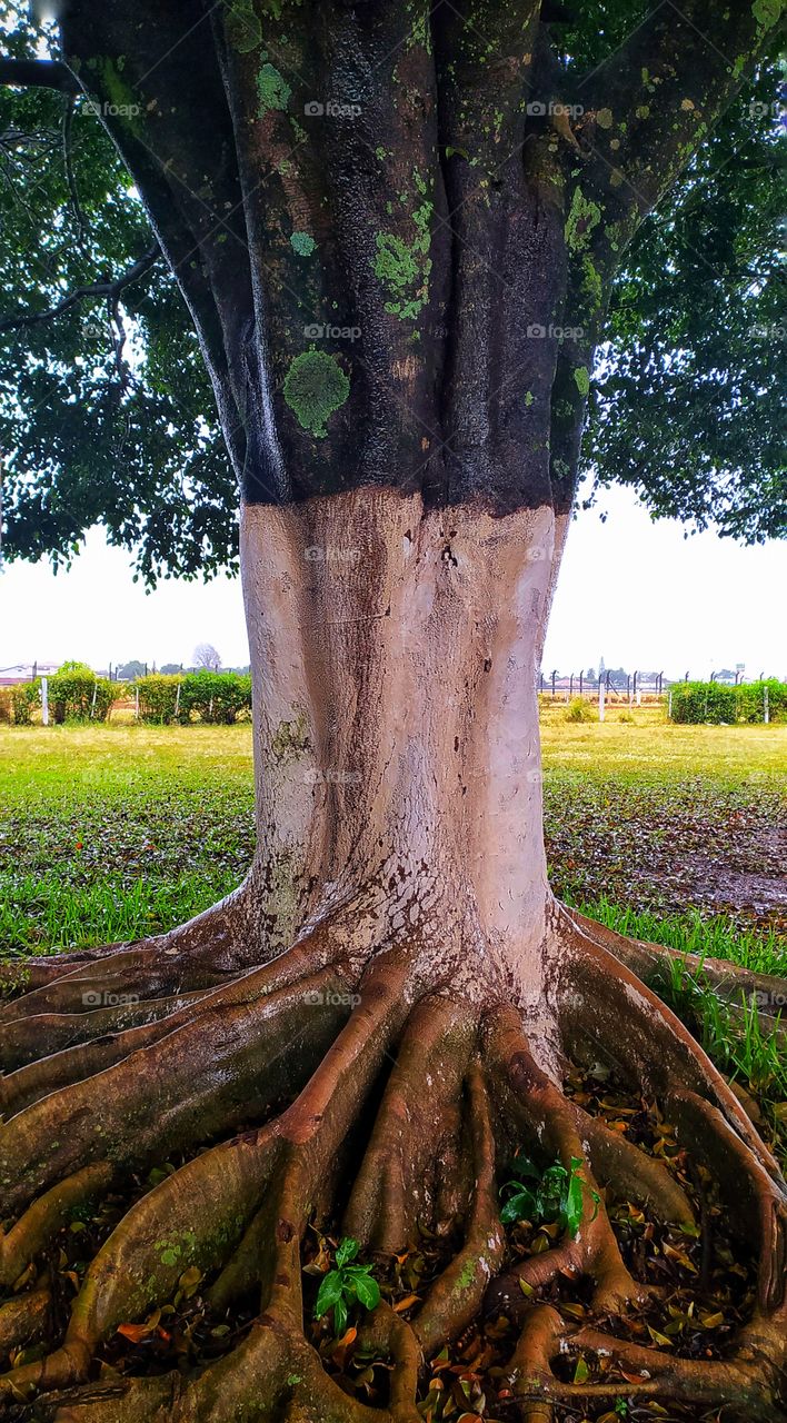 Nature has its structures